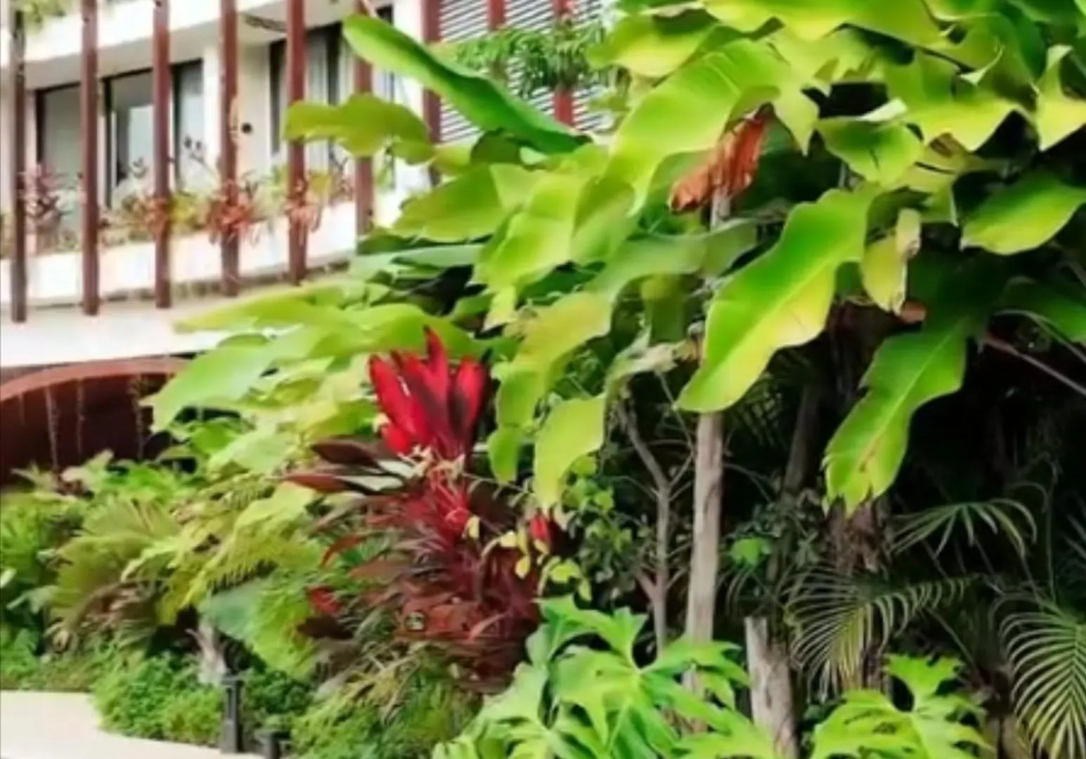 Ixmali, Jungle Studio Avec Vue Proche De La Plage Tulum