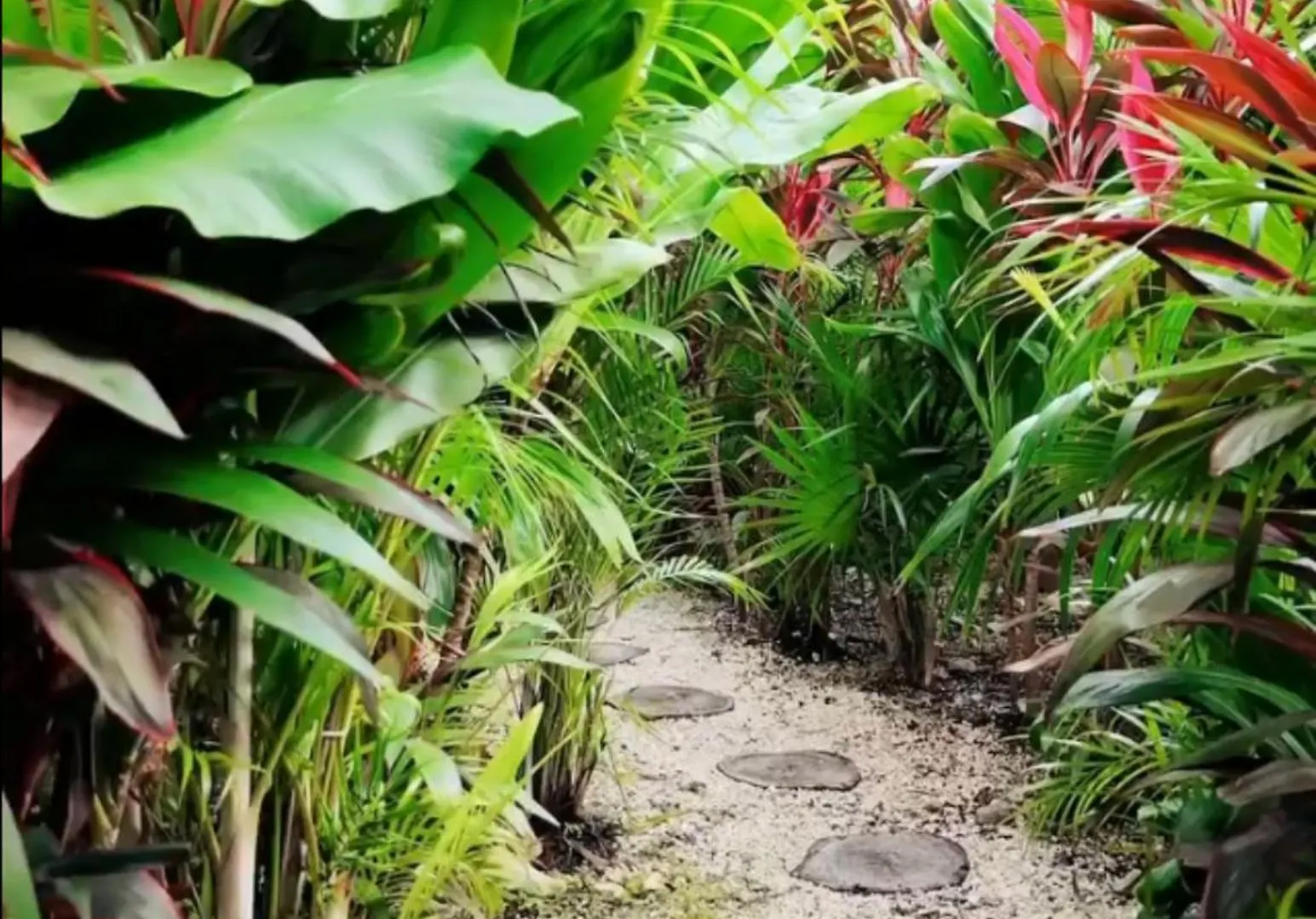 Ixmali, Jungle Studio Avec Vue Proche De La Plage Tulum Mexico